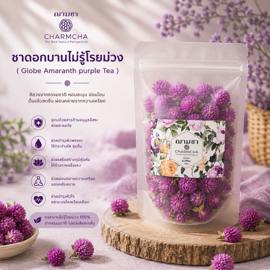 ชาดอกบานไม่รู้โรยม่วง (Globe Amaranth purple Tea) บำรุงปอดและตับ ผ่อนคลาย จากภาวะเครียด ชาดอกไม้ charmcha(ฌามชา)