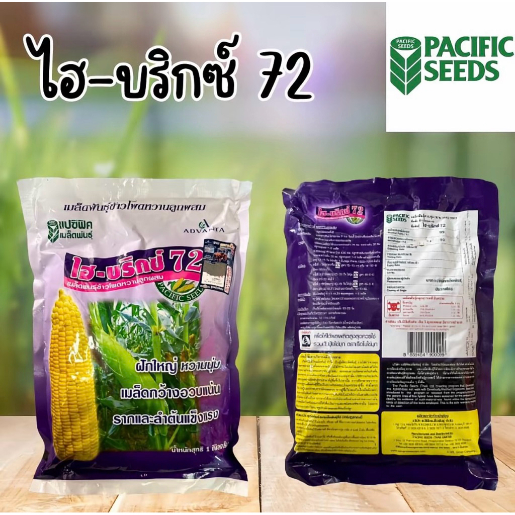 แบ่งขายเมล็ดข้าวโพดแปซิฟิค 500 กรัม 700 บาท ข้าวโพดหวาน ไฮ-บริกซ์ 72