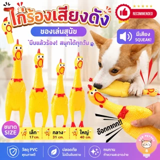 ของเล่นสำหรับสัตว์เลี้ยง ไก่โอ๊ก ไก่มีเสียง ของเล่นแมว ไก่บีบ ไก่บีบมีเสียง