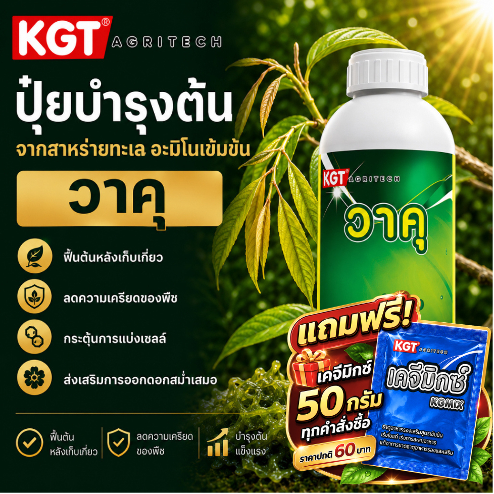 KGT วาคุ สาหร่ายทะเล อะมิโนเข้มข้น ฟื้นต้น ลดความเครียด ปุ๋ยเหลว ขนาด 1 ลิตร