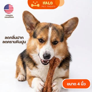 HALO ขนมขัดฟันสุนัข กระดูกมันชี่ สีน้ำตาล 4 นิ้ว ขนมแทะเล่น ลดกลิ่นปาก สำหรับสุนัขทุกสายพันธุ์