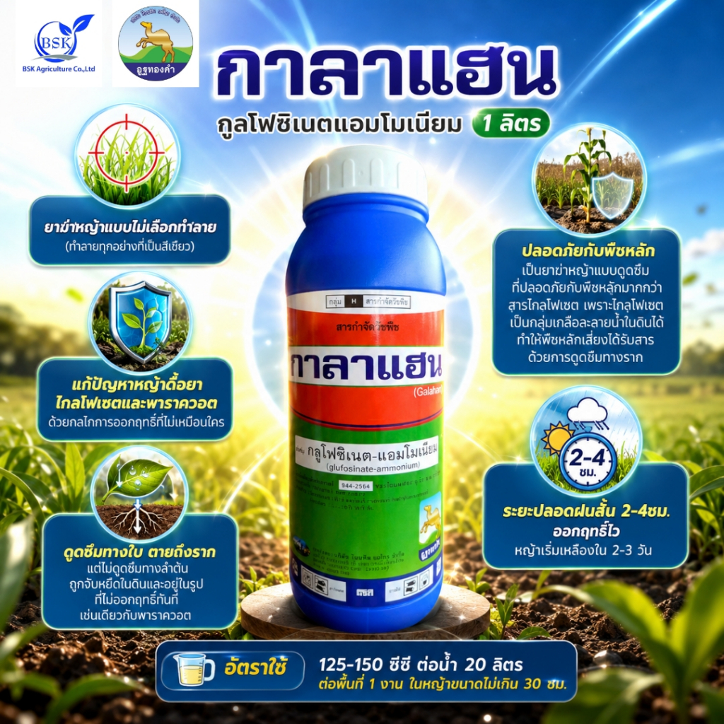 กาลาแฮน หญ้าตีนนก หญ้าปากควาย 1 ลิตร (บ.โอเอซิส)