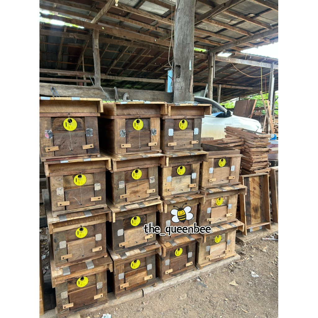 📌ลังล่อผึ้งโพรง กล่องเลี้ยงผึ้งโพรง #แถมม ฟีโรโมน+ไขผึ้ง 🐝 ราคาถูก 🐝
