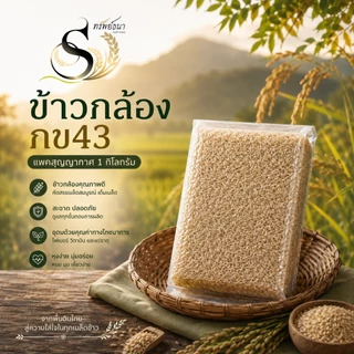 ข้าวกล้องกข43 หอมนุ่ม 1กิโลกรัม ตราทรัพย์ธนา