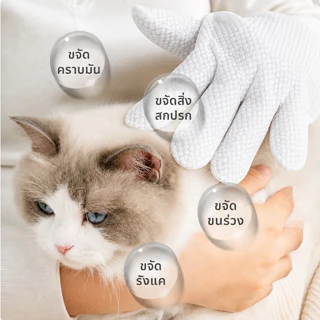 💦ถุงมือสัตว์เลี้ยงแบบใช้แล้วทิ้ง ดับกลิ่น ดูแลผิวสุนัขและแมว ถุงมือทำความสะอาดระงับกลิ่นกายสำหรับแมว