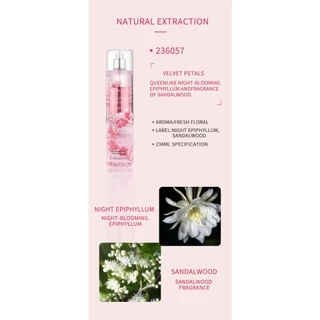 🌸🌹🍑🍋🫐น้ำหอม Victoria's Secret กลิ่นดอกไม้หอมสดชื่นเฟรชติดทนทั้งวัน236ml