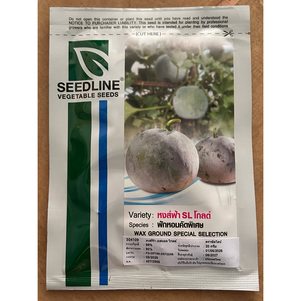ฟักหอมหงส์ฟ้า SL โกลด์ ขนาด 20 กรัม ผลทรงกลมออกแป้น ผิวสีเขียวนวล เก็บเกี่ยวเร็ว 58-62 วัน ผลแน่นน้ำหนักดี 300-400 กรัม