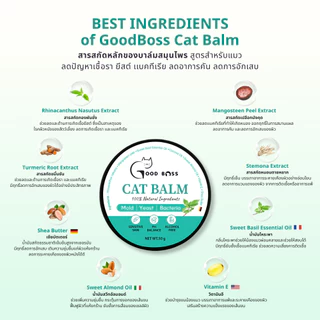 Goodboss Cat Balm บาล์มสำหรับเเมว ขนาด 50 กรัม เชื้อรา ยีสต์ ลดอาการคัน เกา ขนร่วง ผลิตภัณฑ์ออแกนิค