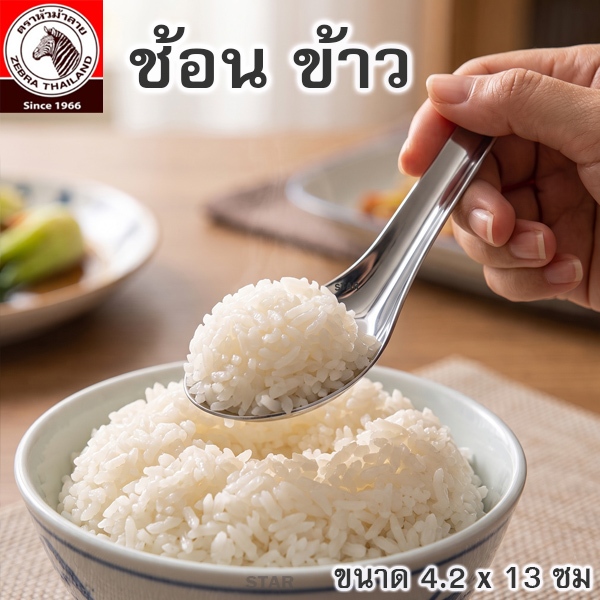 ZEBRA ช้อนสเตนเลส ตราหัวม้าลาย ช้อนสั้น ช้อนของหวาน ช้อนข้าว ช้อนก๋วยเตี๋ยว ช้อนราเมน จัมโบ้ อูด้ง