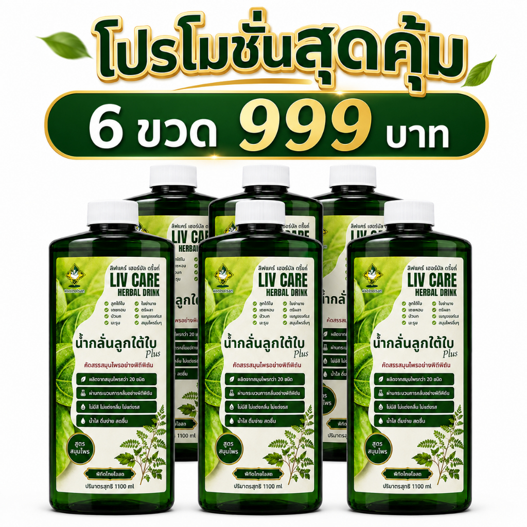 LIV CARE น้ำกลั่นลูกใต้ใบ Plus 1100 ml แพ็ค 6 ขวด โปรโมชั่นสุดคุ้ม เครื่องดื่มสมุนไพร น้ำใส ดื่มง่าย สดชื่น