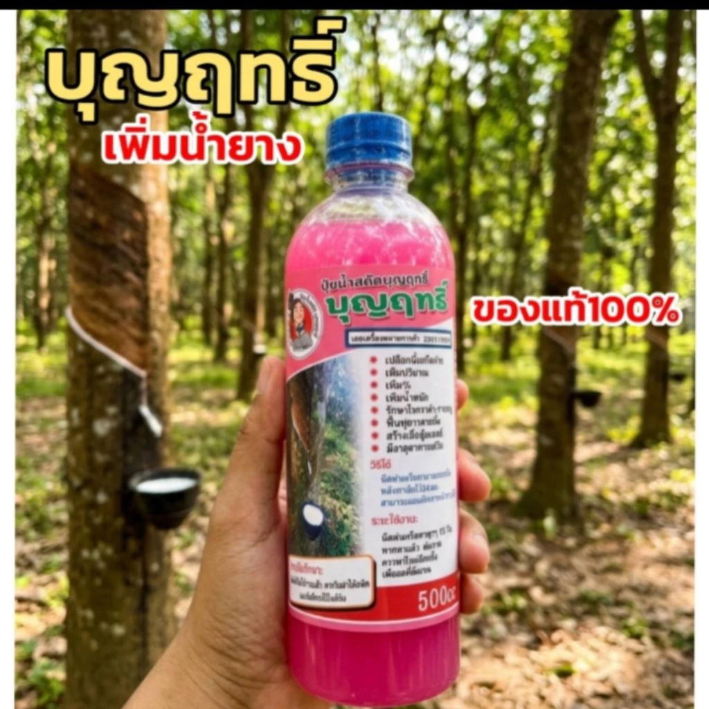บุญฤทธิ์ สูตรบำรุงรักษาหน้ายาง 500cc กรีดง่าย เปลือกนิ่ม ช่วยเพิ่มปริมาณน้ำยาง ป้องกันโรครา หน้าดำ ราชมพู