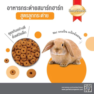 Smartheart อาหารกระต่าย สมาร์ทฮาร์ท ลูกกระต่าย สัตว์ฟันแทะ คุมกลิ่น สูตร ผัก ไวลด์เบอร์รี่