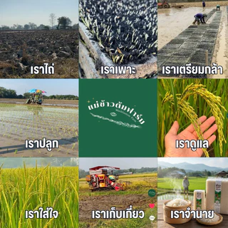 ข้าวญี่ปุ่นเด็ก แม่ข้าวต้มฟาร์ม ขนาด 450กรัม หุงได้ไม่ต้องแช่ ไม่ผ่านการอบมอด ปลูกที่เชียงราย