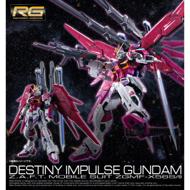 P-bandai RG 1/144 DESTINY IMPULSE GUNDAM