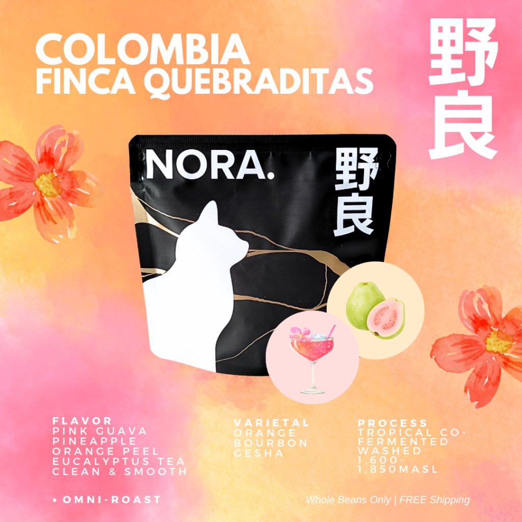 Colombia Finca Quebraditas Tropical Co-Fermented Washed Orange Bourbon & Gesha เมล็ดกาแฟคั่ว (Omni-Roast)