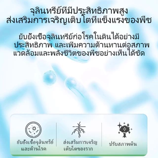 【GreenThumb】สารปรับปรุงดิน สารปรับสภาพดิน 200g ปรับสภาพติน เพิ่มราก ดินดี โรคโคนเน่า โรยผสมดิน หรือละลายน้ำฉีดพ่น