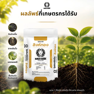 ปุ๋ยอินทรีย์สิงห์ทอง ตราแสนราชสีห์ ขนาด 1 กิโลกรัม สำหรับฟื้นฟูดิน บำรุงราก ช่วยให้พืชเติบโตได้ดี