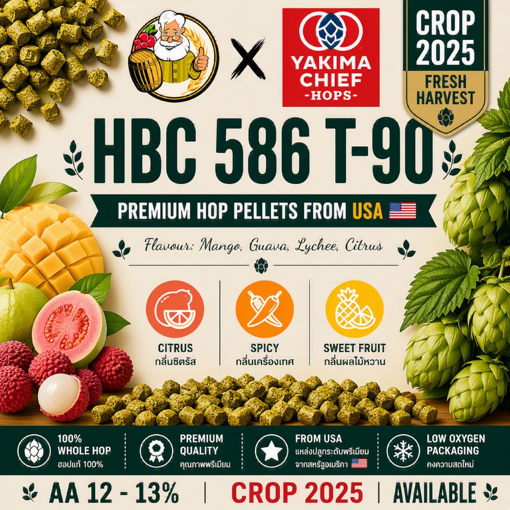 HBC 586 ฮอปส์ เม็ดฮอป  PELLET HOPS (T90) Crop Year 2025 hops ทำเบียร์ hops beer ฮอปทำเบียร์ hops HBC 586 hopT90 hops