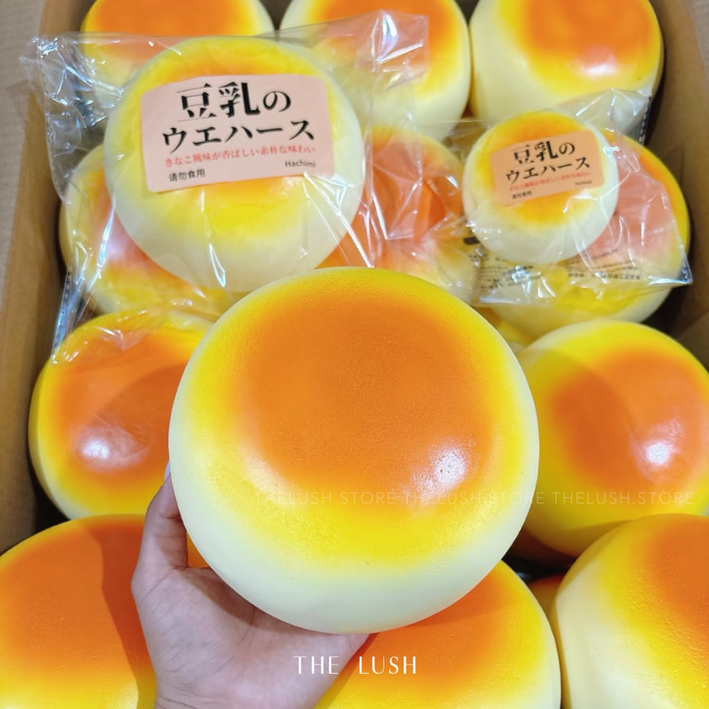 [Pre-Order] Hachimi | สกุชชี่บันถั่วเหลือง Soybean Squishy