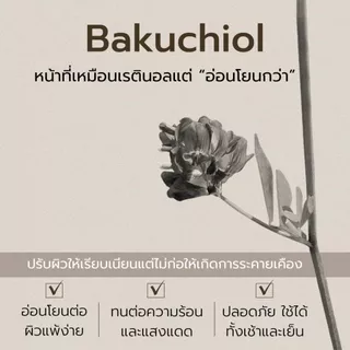 สินค้าแถมฟรีเมื่อซื้อครบ 1,190.- (Black Rice Bakuchiol Eye Cream 20 ml.) 1-31 ก.ค. 69