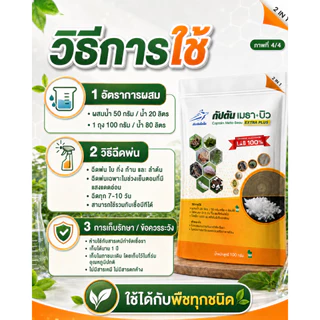 กัปตันเมธาบิว สูตรเข้มข้นเชื้อ 2 เท่า อัพอาหารเชื้อ บิวเวอร์เรีย+เมธาไรเซียม แบบผง(100กรัม)
