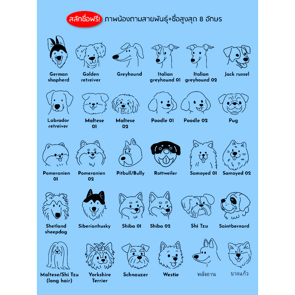 Paws x no plastic shop กระติกน้ำสุนัข กระบอกน้ำสุนัข ขวดน้ำสุนัข สแตนเลส เก็บความเย็น 24 ชั่วโมง thumbnail 10