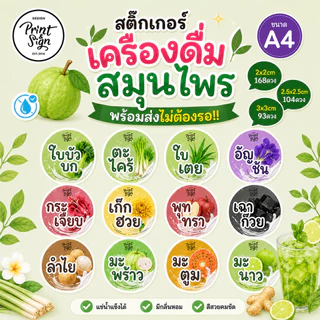 (สินค้าพร้อมส่ง)สติกเกอร์กันน้ำ100% A4+ ใบบัวบก ตะไคร้ ใบเตย อัญชัน กระเจี๊ยบ เก๊กฮวย พุทรา เฉาก๊วย