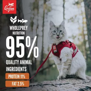 สินค้าแถม Orijen อาหารเปียกแมว Original 155g.