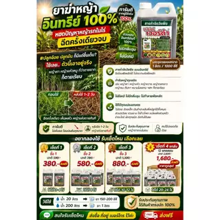 ซุปเปอร์ เวอร์ด้า ยาฆ่าหญ้าอินทรีย์ 100% ซื้อ 1 แถม 1 สูตรเข้มข้น กำจัดหญ้าได้รวดเร็ว ฉีดครั้งเดียวจบ ไม่มีกลิ่นฉุน