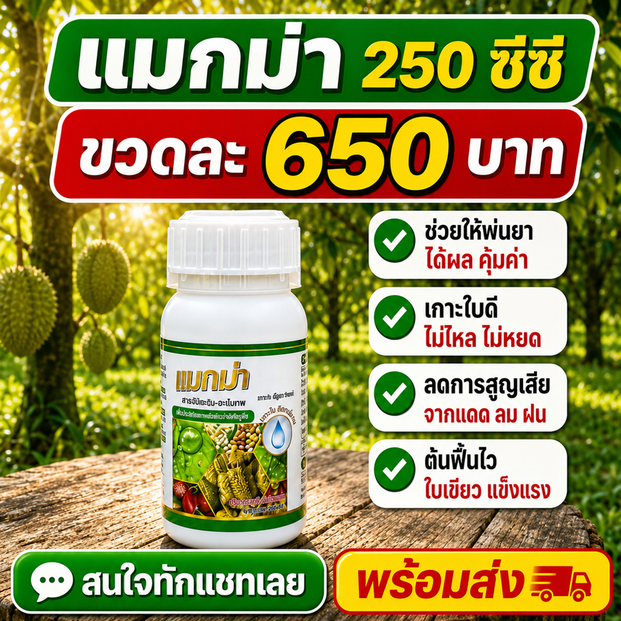 สารจับใบ แมกม่า (MAXMA) ช่วยลดต้นทุน ปุ๋ยเคมี เพิ่มการดูดซึม ใช้ได้กับพืชทุกชนิด