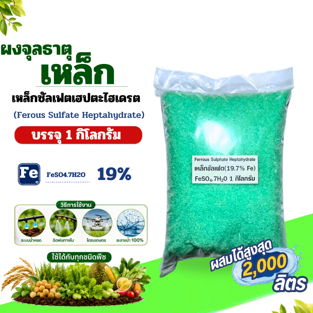 เหล็กซัลเฟต Fe 19% Ferous Sulfate Heptahydrate FeSO4.7H2O บรรจุ 1 กิโลกรัม.