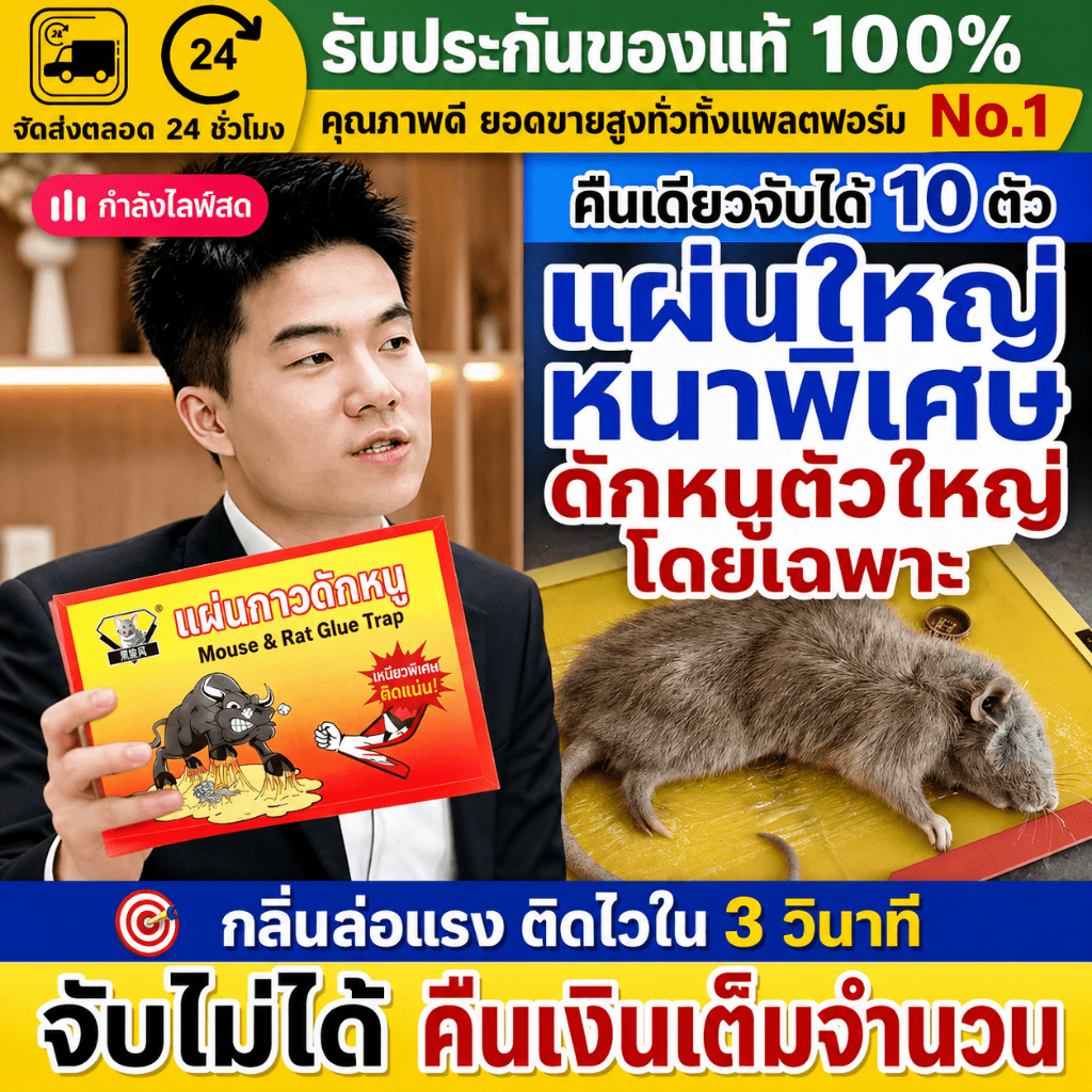 （COD）แผ่นกาวดักหนู 5/10/20/30 ชิ้น กาวเหนียวแน่น แผ่นหนา ดักหนูตัวใหญ่ ใช้ในบ้าน ครัว โกดัง วางง่าย ปลอดภัย ไม่ไหลเยิ้ม.