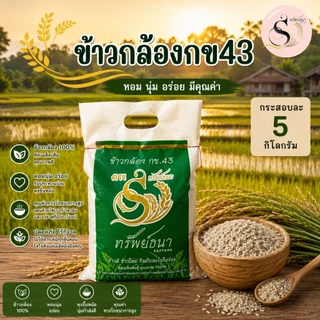 ข้าวอร่อย เพื่อสุขภาพ ข้าวกล้องกข43 กระสอบ5กิโลกรัม ตราทรัพย์ธนา