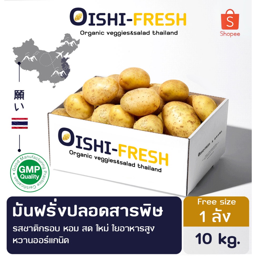 ส่งด่วน ร้านอาหาร มันฝรั่ง ปลอดสารพิษ 10 กก. ผักร้านอาหาร ผักยกลัง ผักราคาส่ง ผักชาบู ผักโรงแรม ส่ง 24 ชม.