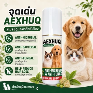 AEXHUQ สเปรย์สุนัข แมว ครบจบ เชื้อรา ขี้เรื้อน คัน ขนร่วง ผื่นแดง ต้านเชื้อรา แบคทีเรีย สูตรสัตว์เลี้ยง