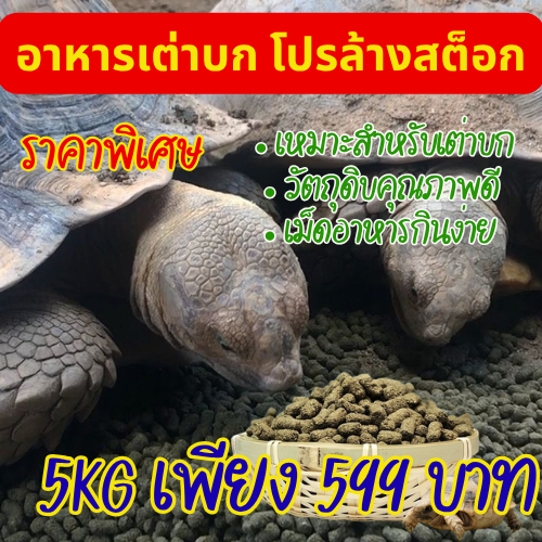 อาหารเต่าบก โปรตีนสูง เม็ดอาหารเต่า 5kg / 10kg โปรล้างสต็อก ราคาพิเศษ