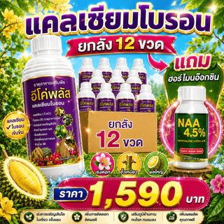 แคลเซียมโบรอน อีโค่พลัส ยกลัง12ขวด (แถมฟรี NAA ฮอร์โมนเร่งดอก 4.5%) | บำรุงดอก เพิ่มติดผล ผลใหญ่ แข็งแรง 12ลิตร