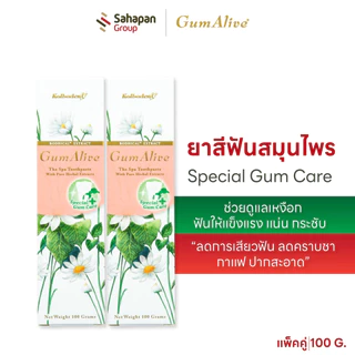 (แพคคู่) GumAlive ยาสีฟันสมุนไพร กัมอะไลฟ์ Special Gum Care 100g ช่วยดูแลเหงือกและฟันให้แข็งแรง แน่นกระชับ ลดการเสียวฟัน