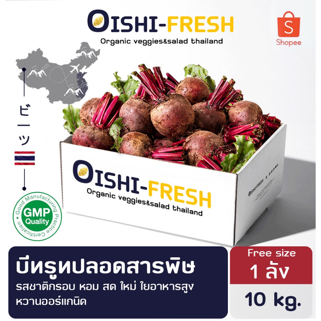 🚨ส่งด่วน🥢ร้านอาหาร🥬บีทรูท ปลอดสารพิษ 10 กก. ผักร้านอาหาร ผักยกลัง ผักราคาส่ง ผักชาบู ผักโรงแรม ส่ง 24 ชม.