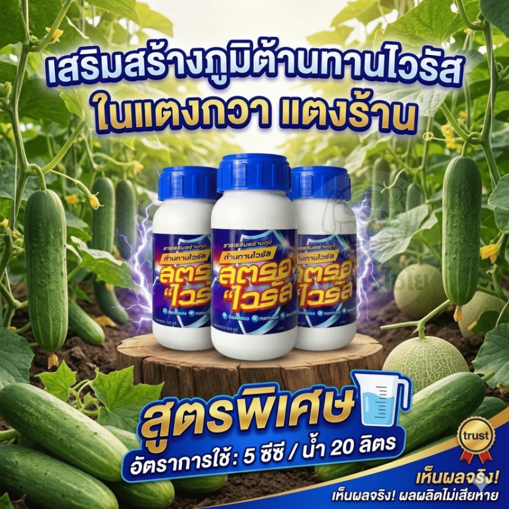 สารป้องกันไวรัสแตงกวาแตงร้านแตงโมสตรองไวรัสสูตรพิเศษสำหรับการปลูกแตงกวาและแตงร้าน ขนาด 5 ซีซี/20 ลิตร