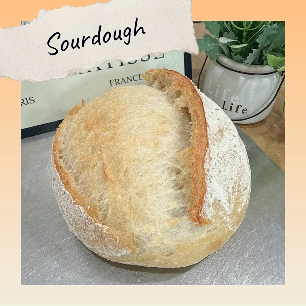 Sourdough ขนมปังซาวโดว์ ยีสต์ธรรมชาติ100% เปรี้ยวละมุน หลังอบ590g