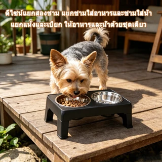 🍚 ชามอาหารหมา การปรับความเร็ว 4 ระดับ ถอดออกได้ แบบกันมด ชามอาหารแมว ชามสแตนเลส ชามอาหารสัตว์เลี้ยง 2 in 1 ฐานกันลื่น