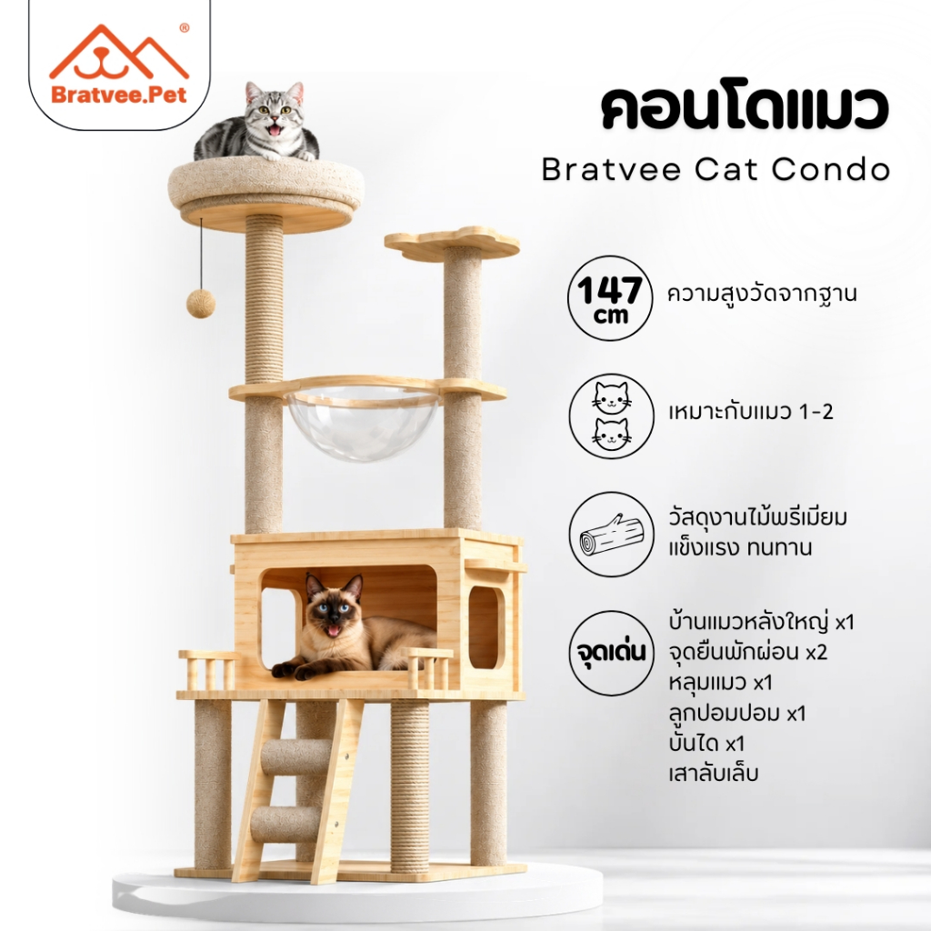 [Bratvee] Cat Condo คอนโดแมว บ้านแมว คอนโดแมวไม้อัด หลุมนอนใส มีบันไดและกล่องนอน เสาลับเล็บทั้งต้น
