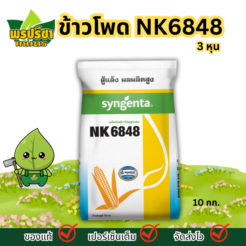 เมล็ดพันธุ์เลี้ยงสัตว์ ข้าวโพด NK6848 3หุน 10กก. | ปลูกถี่ได ทนโรค