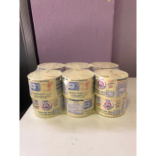 exp 2027 12กระป๋อง 140ml นมสดสเตอริไลส์ตราหมี สลากเหลือง