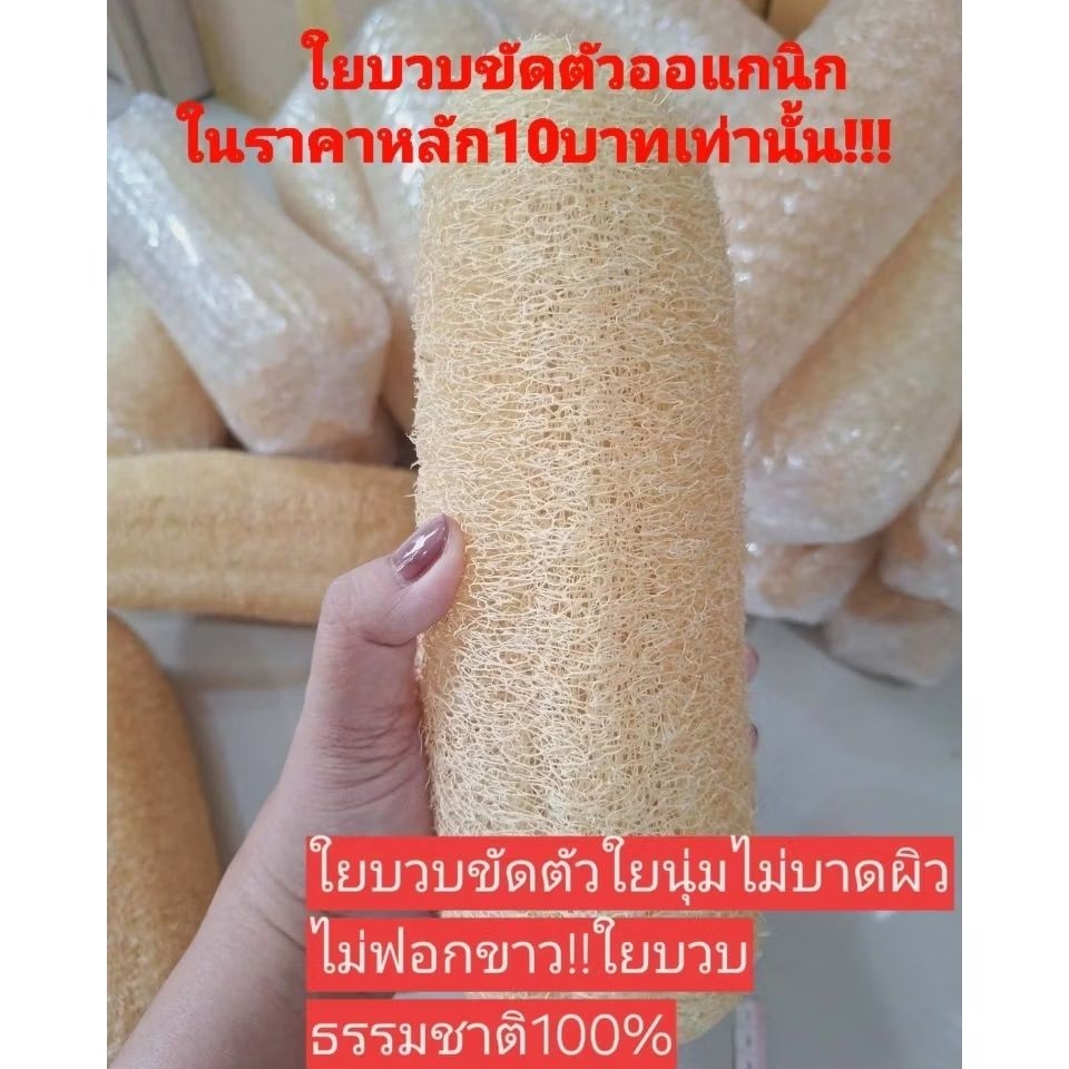 ใยบวบขัดตัว บวบขัดผิวไม่บาดผิวบวบธรรมชาติ100%
