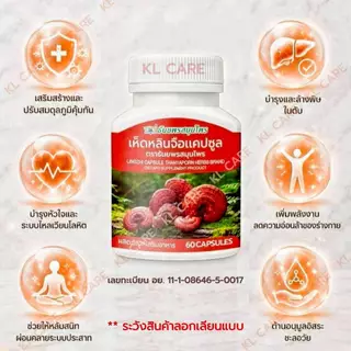 เห็ดหลินจือ เห็ดหลินจือแดง บำรุงร่างกาย LINGZHI 60 แคปซูล