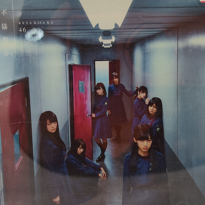 Keyakizaka46. Fukyouwaon" (Discord) ขายตามสภาพ