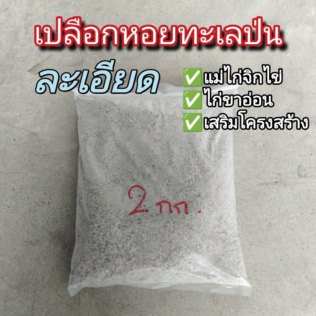 (2กก.)เปลือกหอยทะเลป่นละเอียด​ ให้ไก่ชน​และสัตว์เสริมแคลเซียม​
