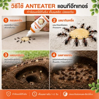 เจลกําจัดมด แอนท์อีทเทอร์ กําจัดมด